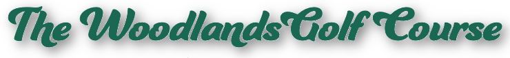 The Hamptons logo